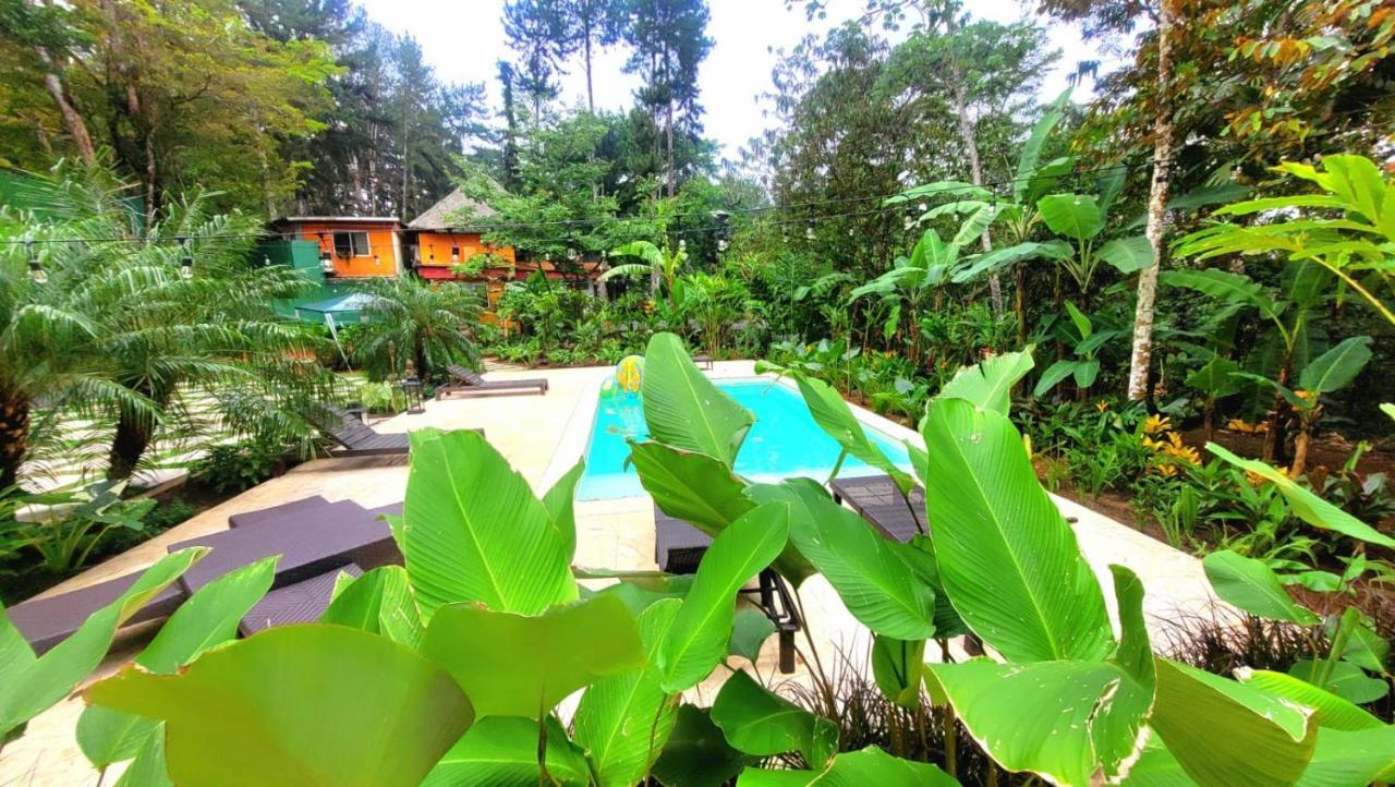 La Semilla Ecolodge แซร์โรอาซูล ภายนอก รูปภาพ