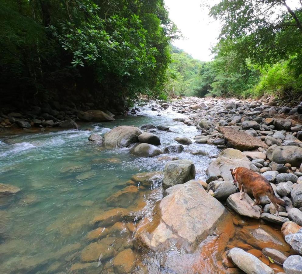 La Semilla Ecolodge แซร์โรอาซูล ภายนอก รูปภาพ