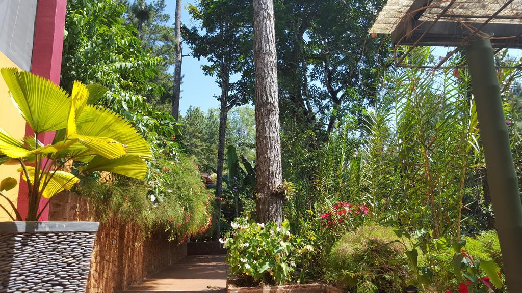 La Semilla Ecolodge แซร์โรอาซูล ภายนอก รูปภาพ