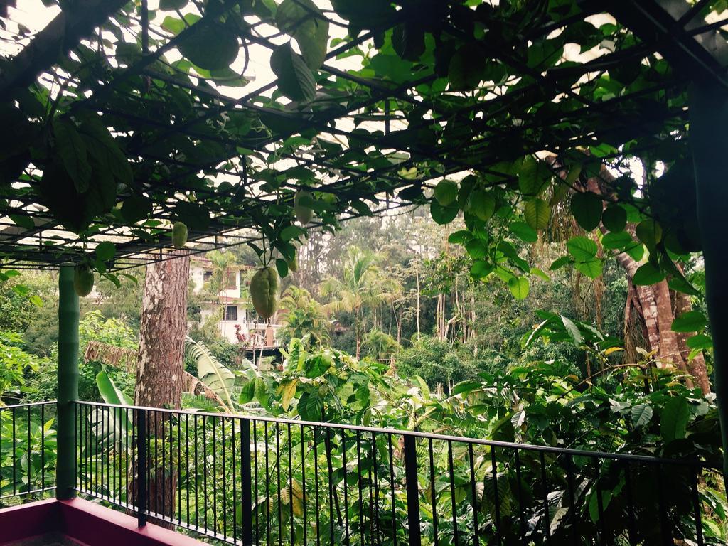 La Semilla Ecolodge แซร์โรอาซูล ภายนอก รูปภาพ